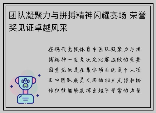 团队凝聚力与拼搏精神闪耀赛场 荣誉奖见证卓越风采